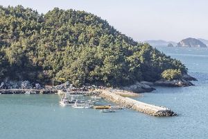 시산도 사진 5