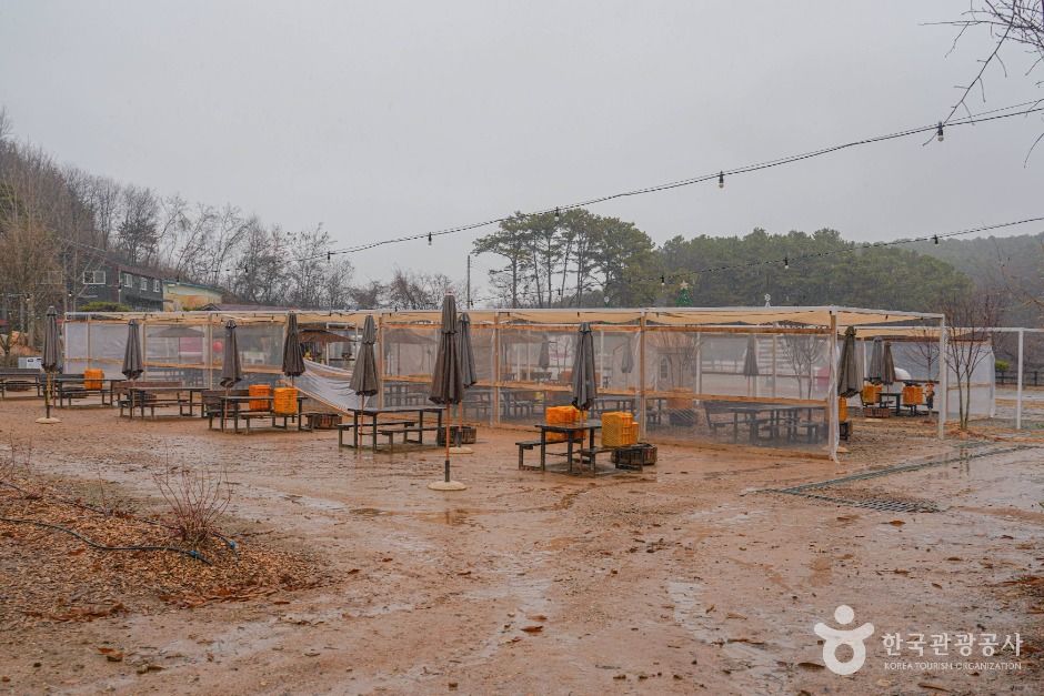 파주_헤이리농원 (8)