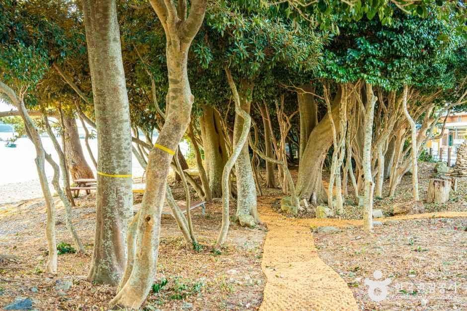 완도_예송해수욕장 (6).jpg