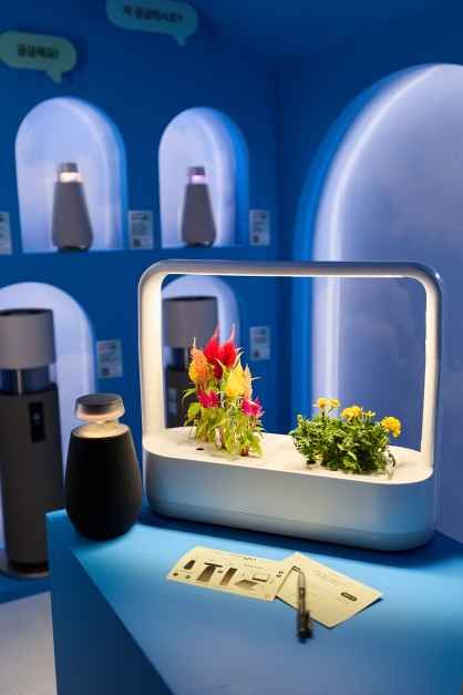 금성전파사 캠퍼스아트센터