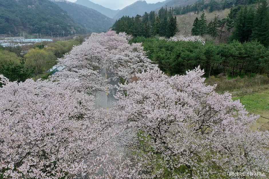 내장산국립공원