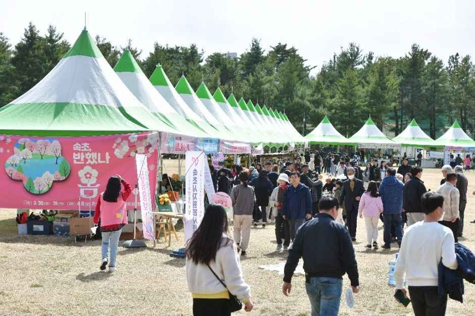 永郎湖 桜祭り