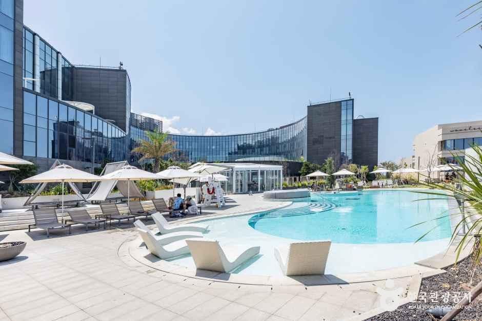 신라스테이 플러스 이호테우