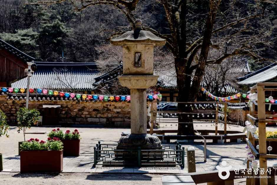 충북_보은_보은 법주사 [유네스코 세계유산]_외부_2.png