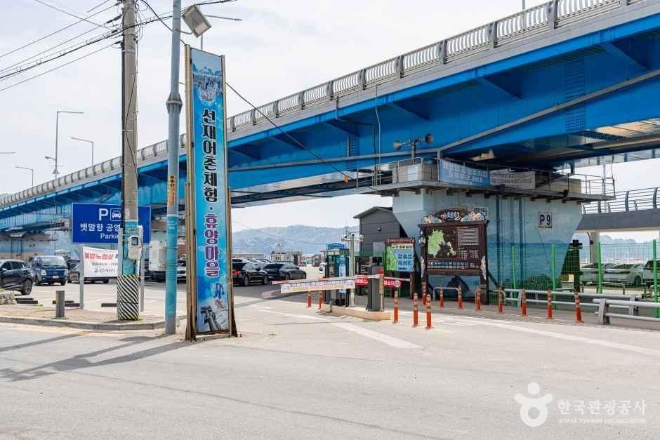 선재도(선재도 어촌체험마을)