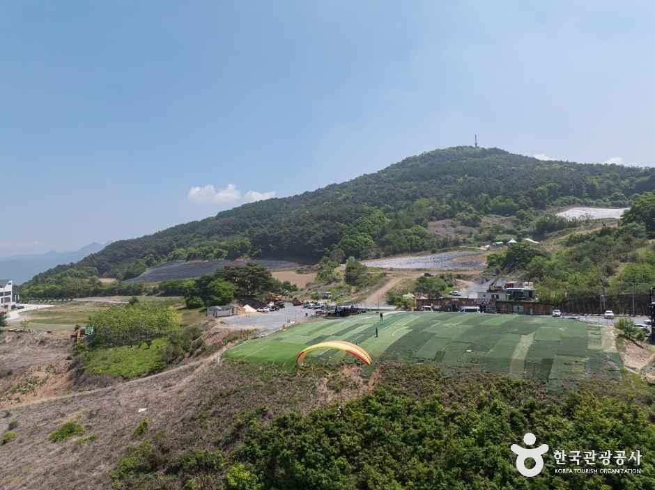 단양 패러일번지