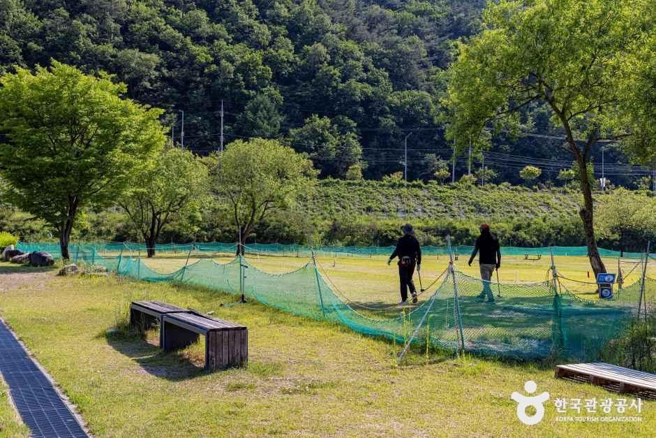단양생태체육공원