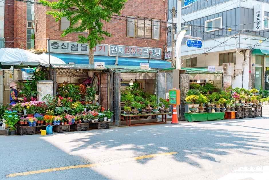 종로꽃시장