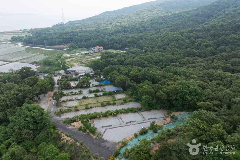 석모도 부자캠핑 사진 14