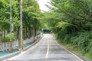 유달산일주도로