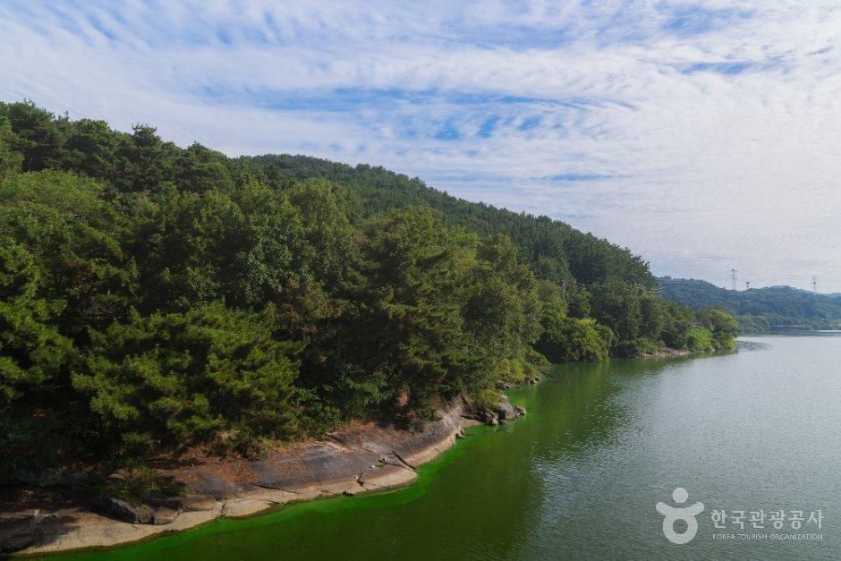 논산 탑정호 출렁다리