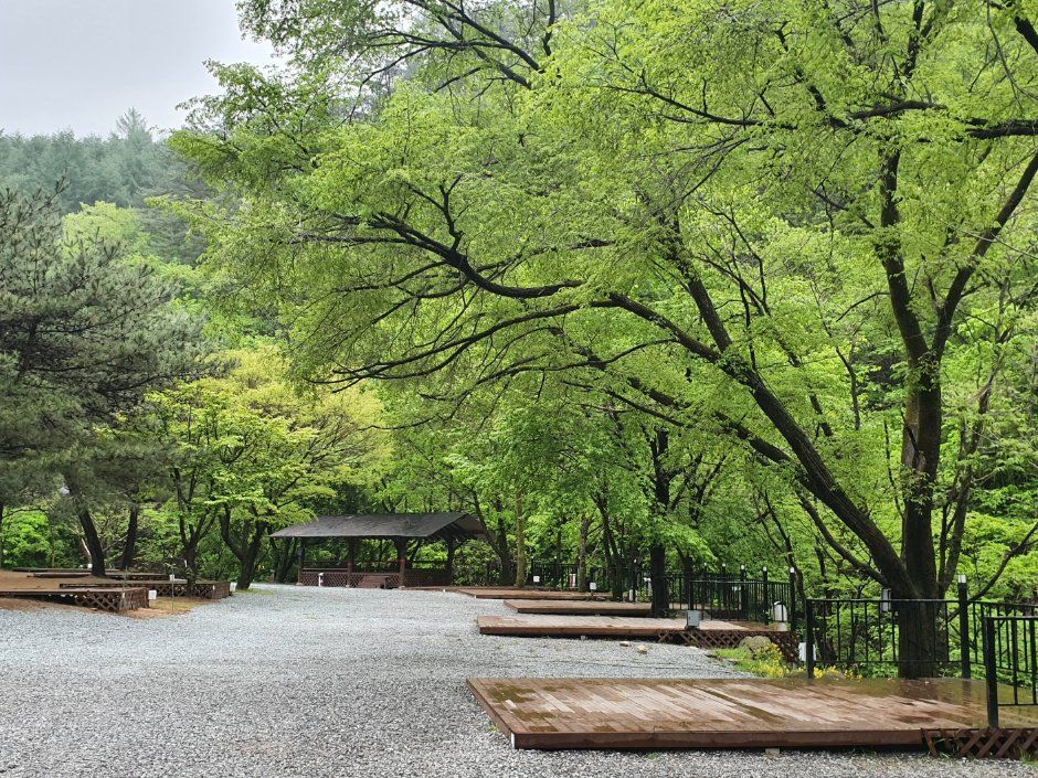 검산별빛캠핑장