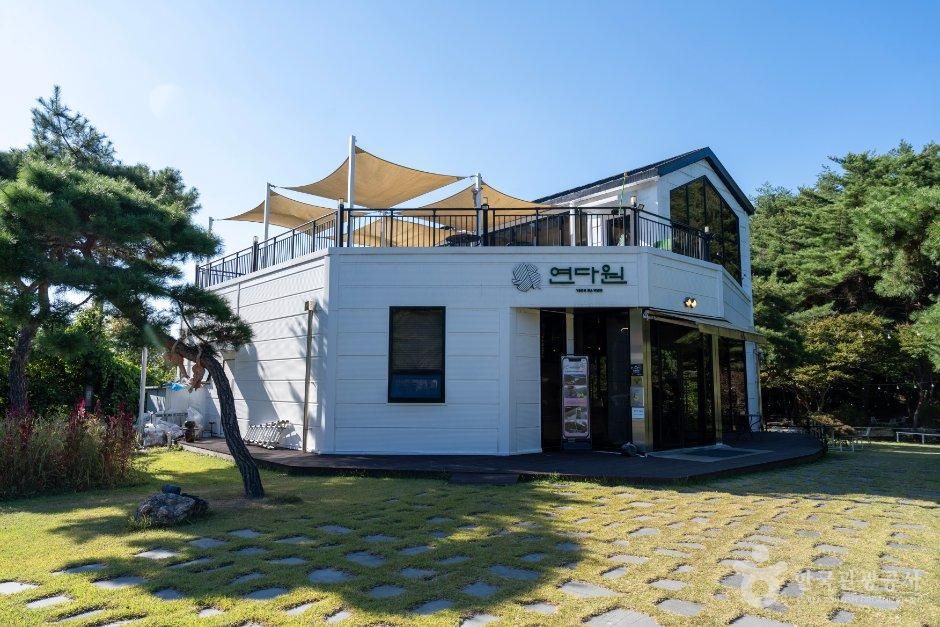 연다원