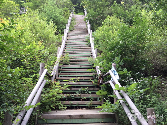 ソグニ山