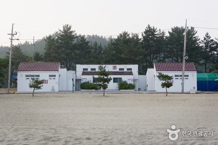 신지 명사십리해수욕장 신지 명사십리해수욕장