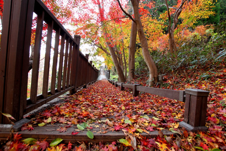 Manyeonsan Five Senses Connecting Trail