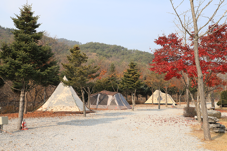 プライムキャンプ場