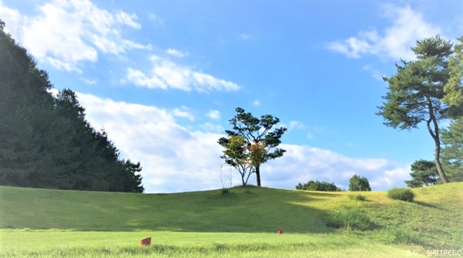 楊平TPC GC