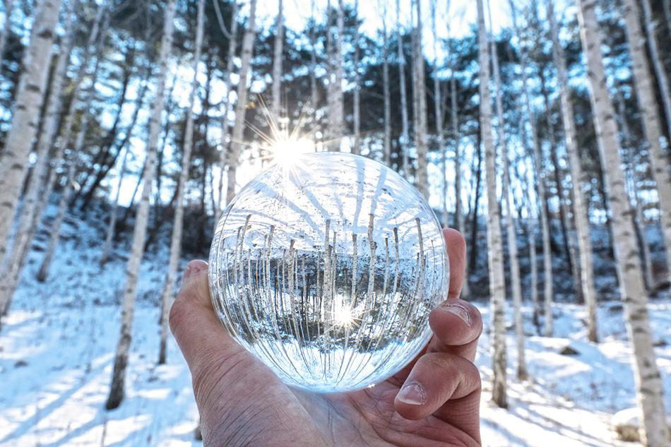 Wondae-ri Birch Forest in a crystal ball