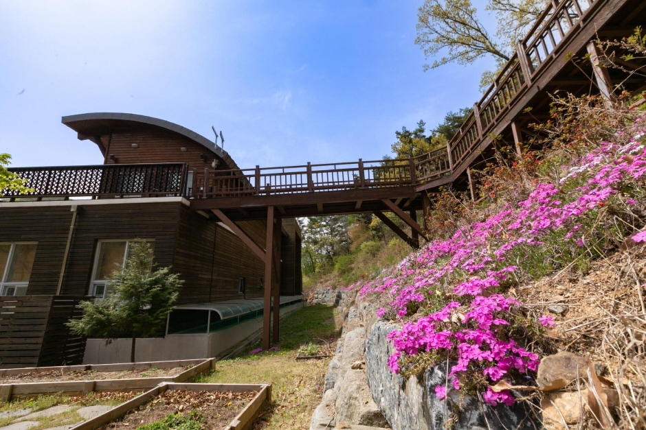 Yesan National Healing Forest