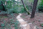 대전 보문산 행복 숲 둘레길 (2)