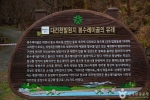 대전_동구_만인산 자연휴양림 (2) 미리보기