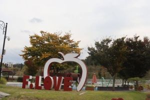 레인보우순카페 사진 5