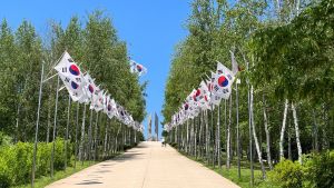 [DMZ 평화의 길] 백마고지 코스