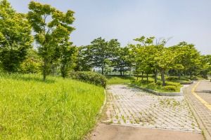 인천_늘푸른공원 (7)