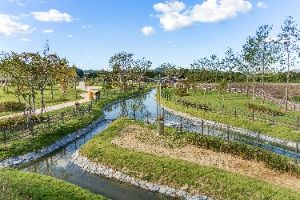 예당호중앙생태공원