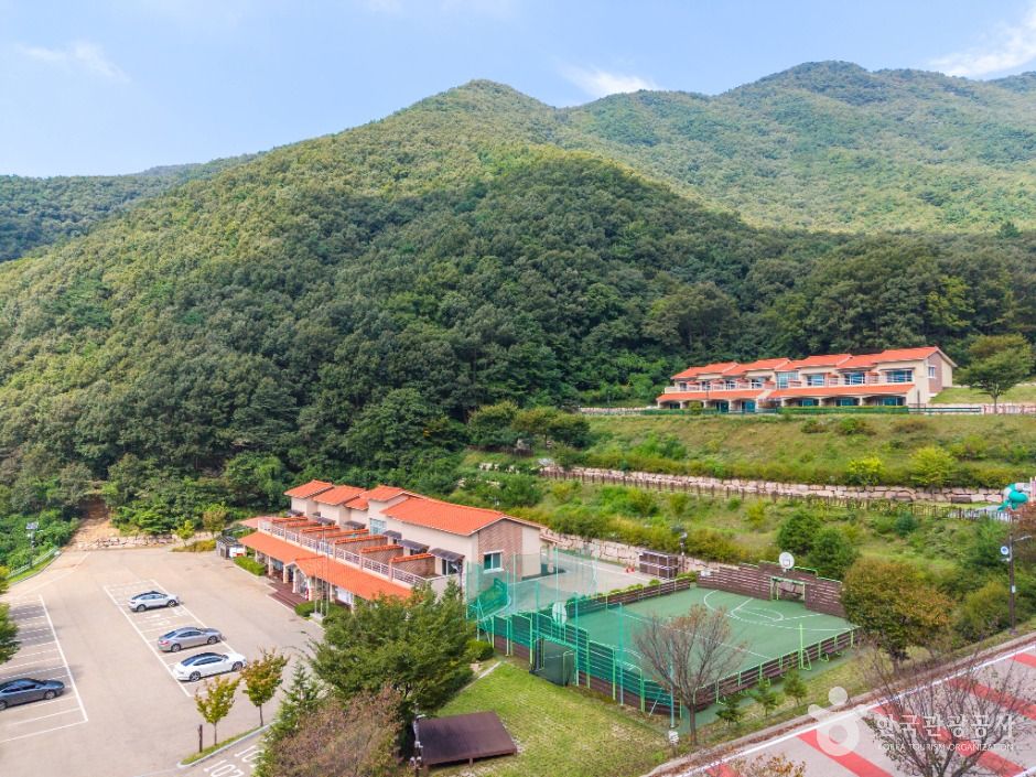 八公山金花自然休養林