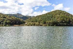 3573688 image3 1 예스키즈존 탐험대 : 실패 없는 육아여행