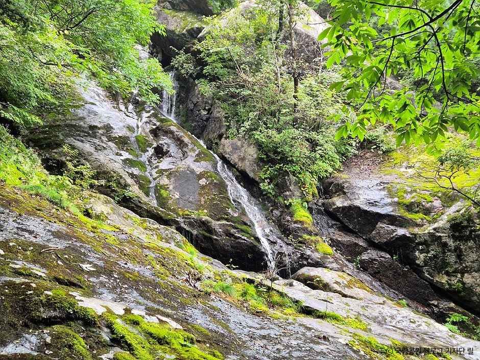 함양_한신계곡 (1).jpg