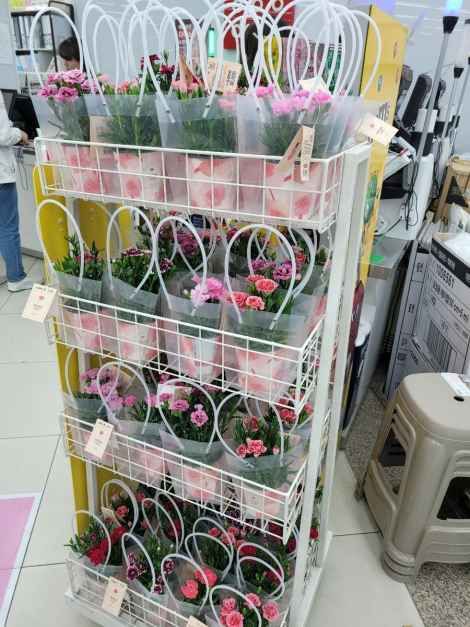 DAISO Ewha Womans University Station Branch[Tax Refund Shop](다이소 이대역점)