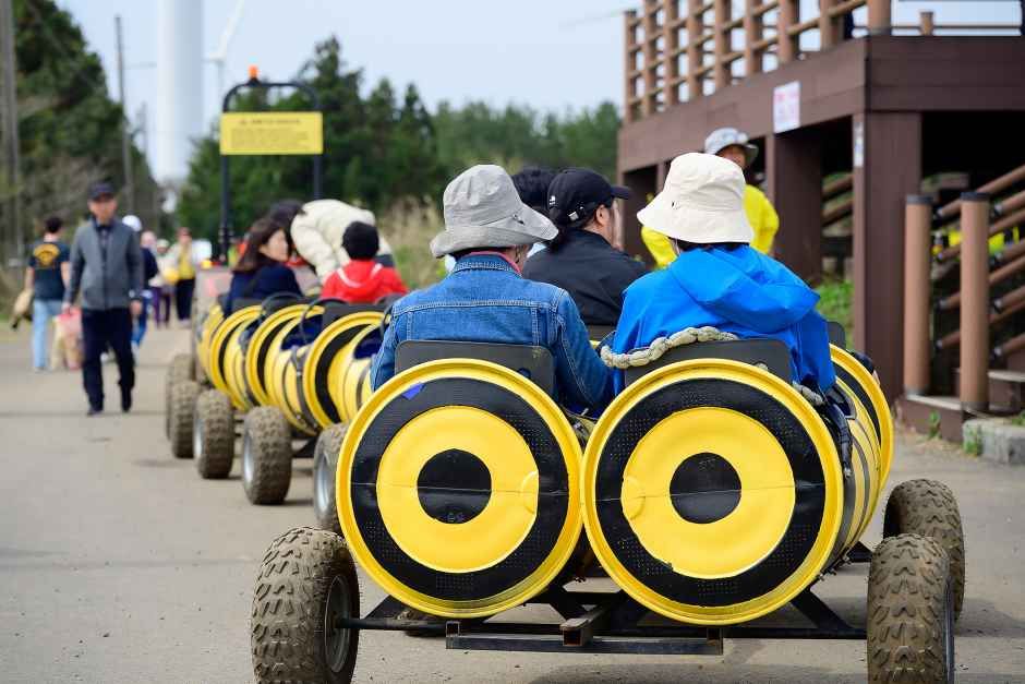 2026 서귀포유채꽃축제 (4).jpg