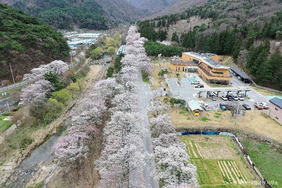 内蔵山国立公園