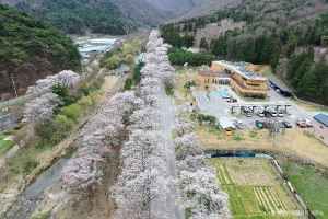 내장산국립공원