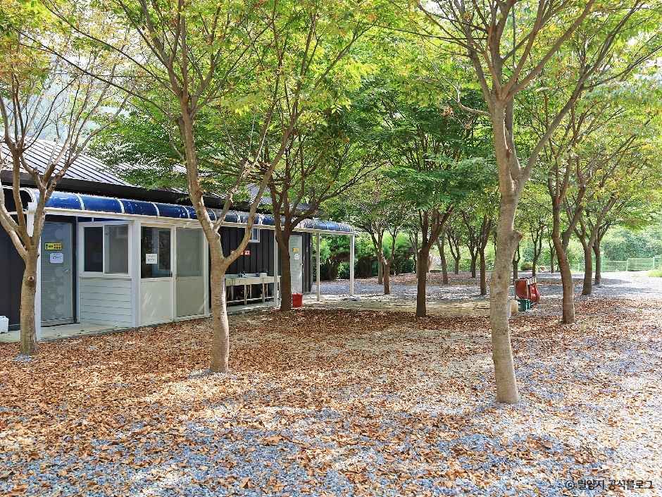 밀양 가보자 캠핑장