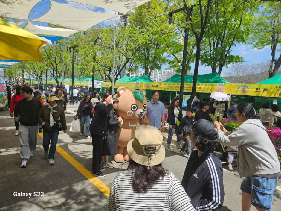 청춘양구 곰취축제