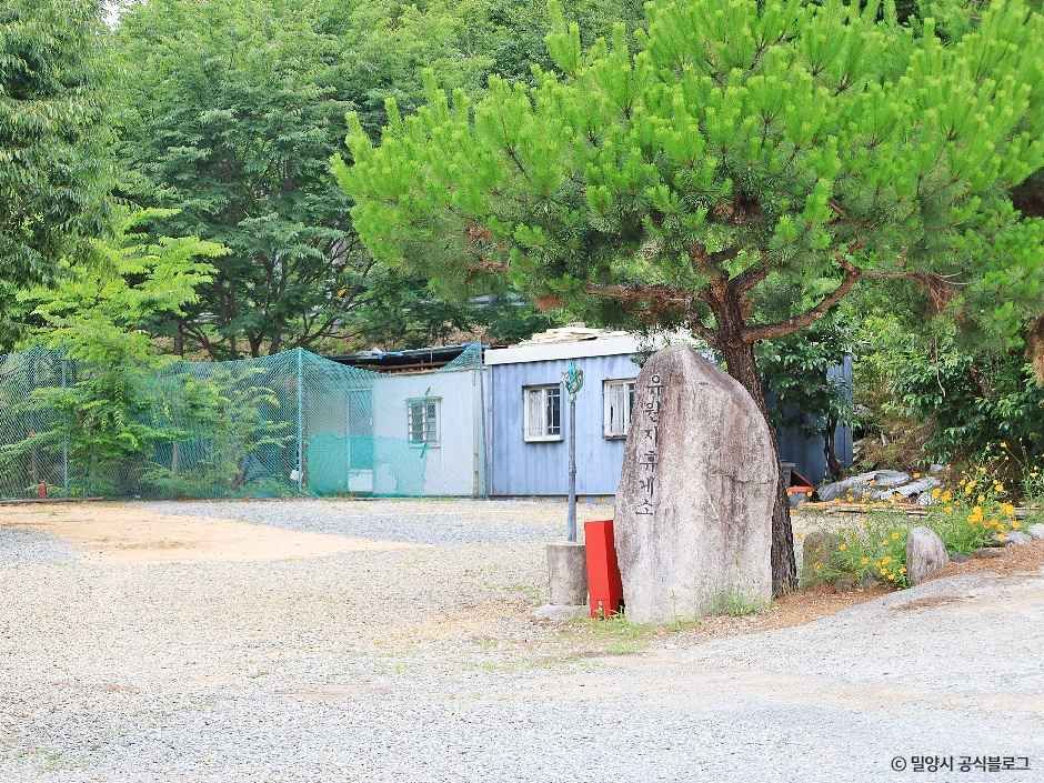 밀양_밀양 유원지 오토캠핑장 (1).jpg