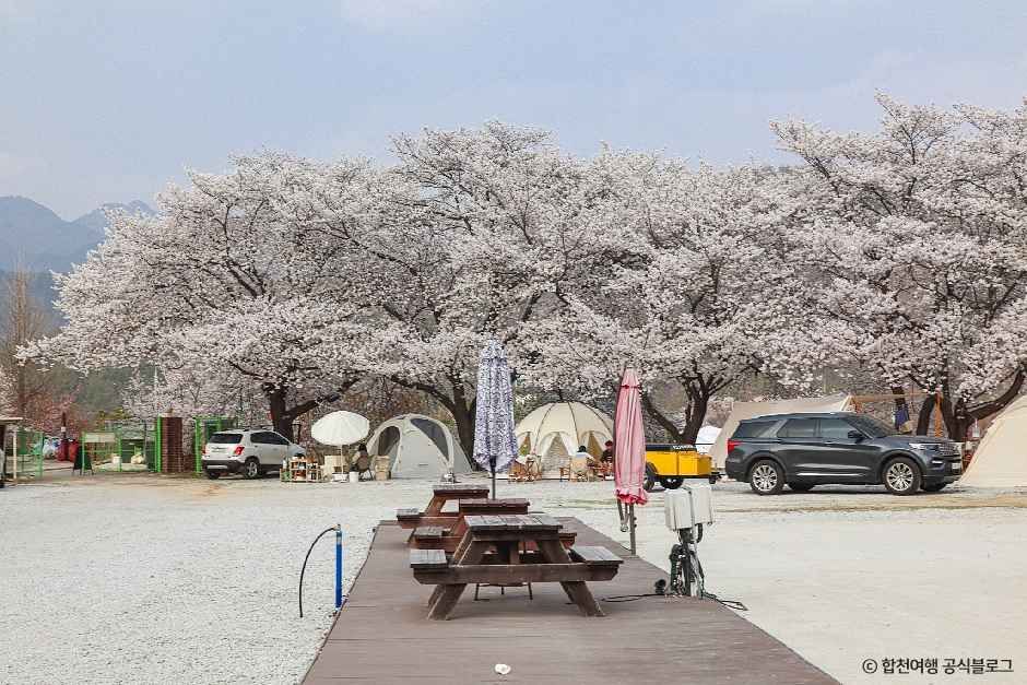 夢見るキャンプ場