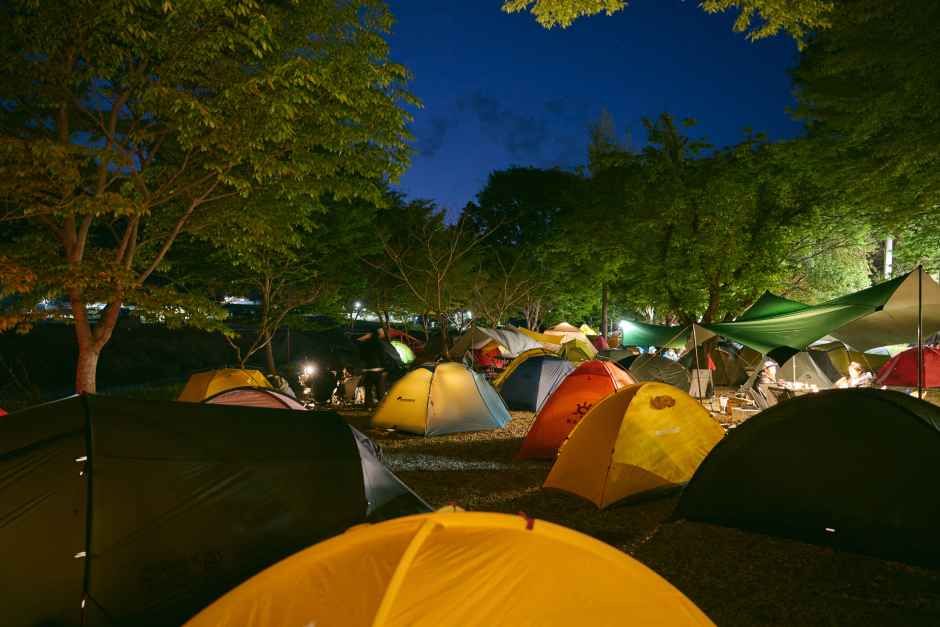 2026 영양 산나물 축제 (2).jpg