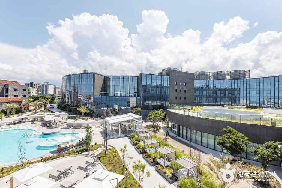 신라스테이 플러스 이호테우