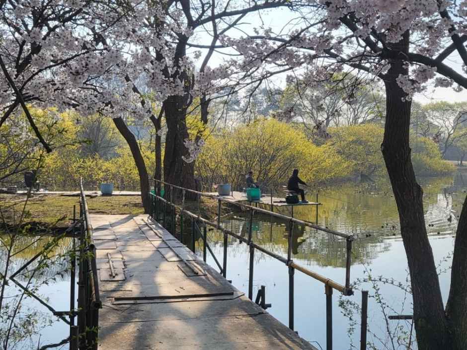 Daedong Fishing Pond