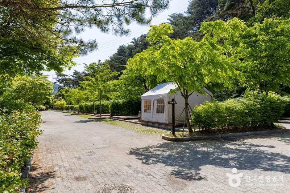 용두산오토캠핑장