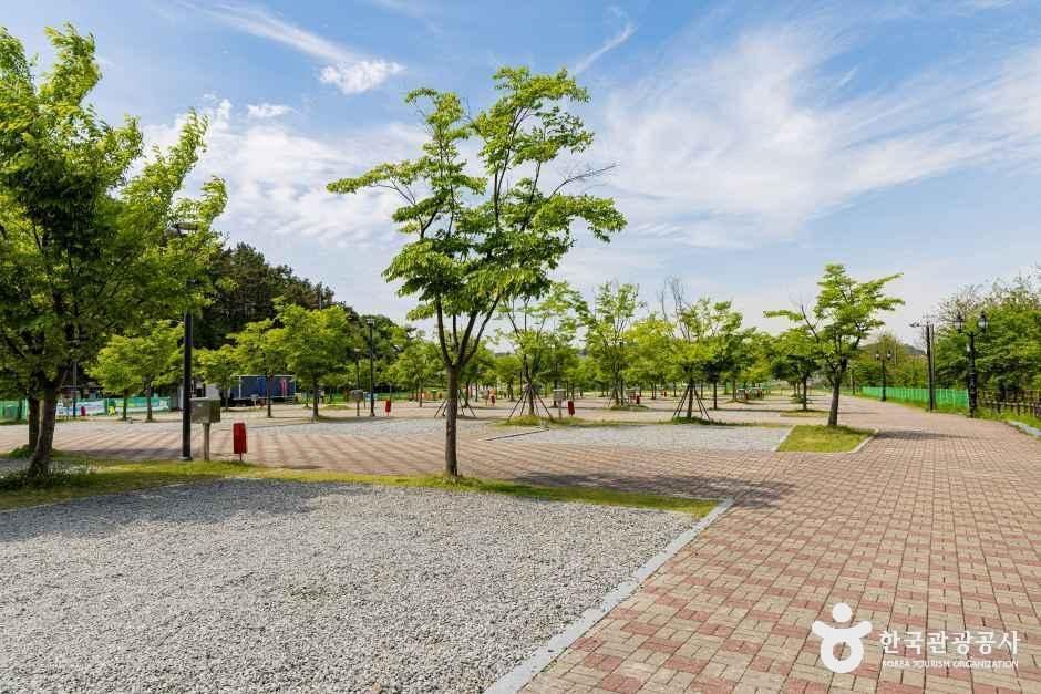 오창미래지농촌테마공원 캠핑장