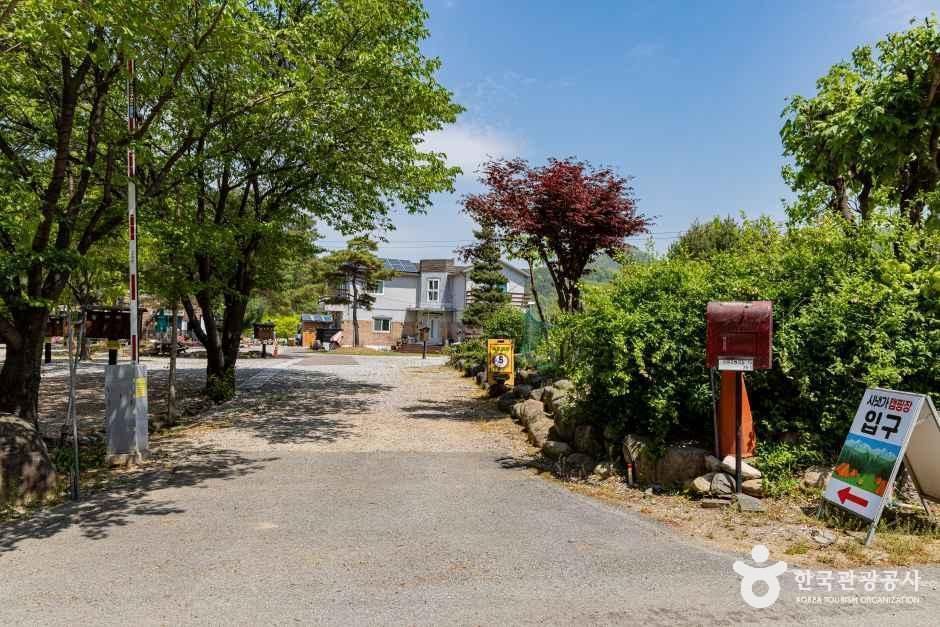시냇가 캠핑장