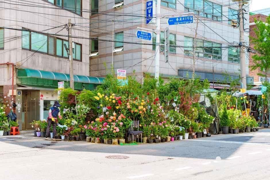 서울_종로꽃시장 (2).jpg