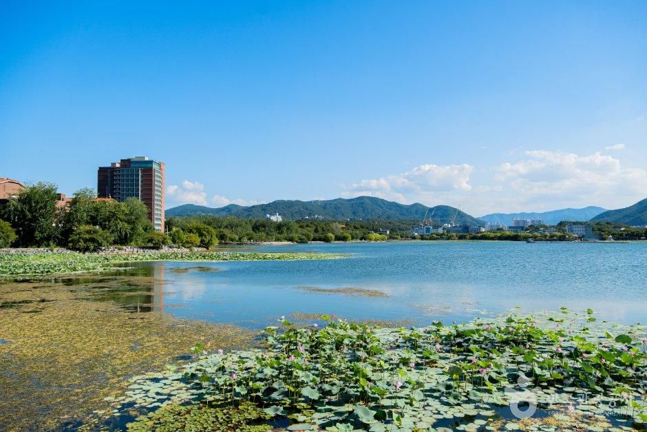 남매지