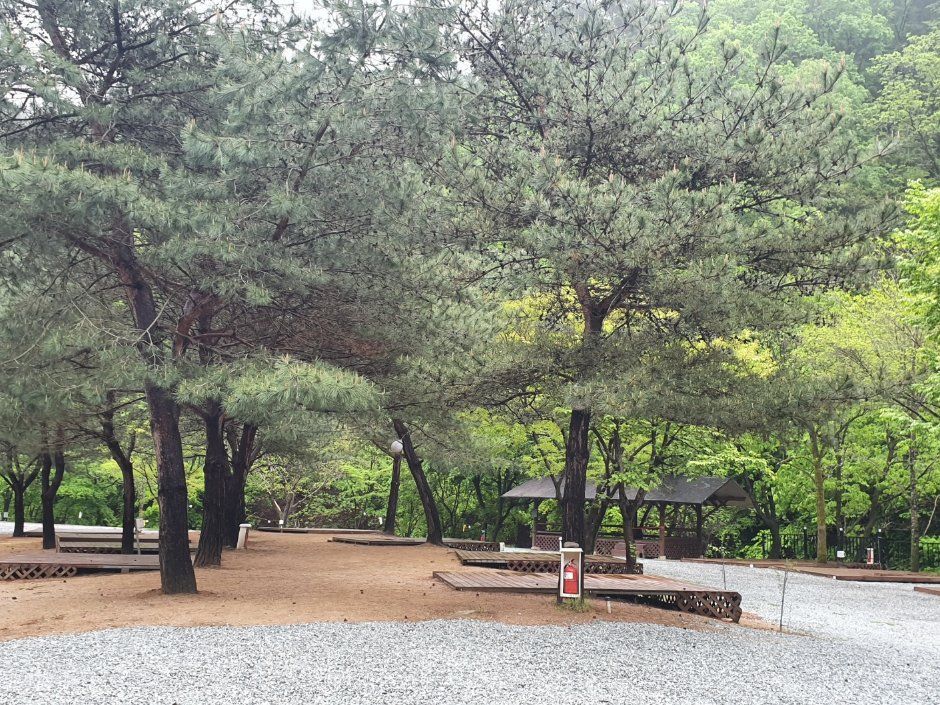 검산별빛캠핑장